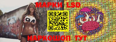 ешки Гай
