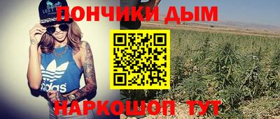 ешки Гай