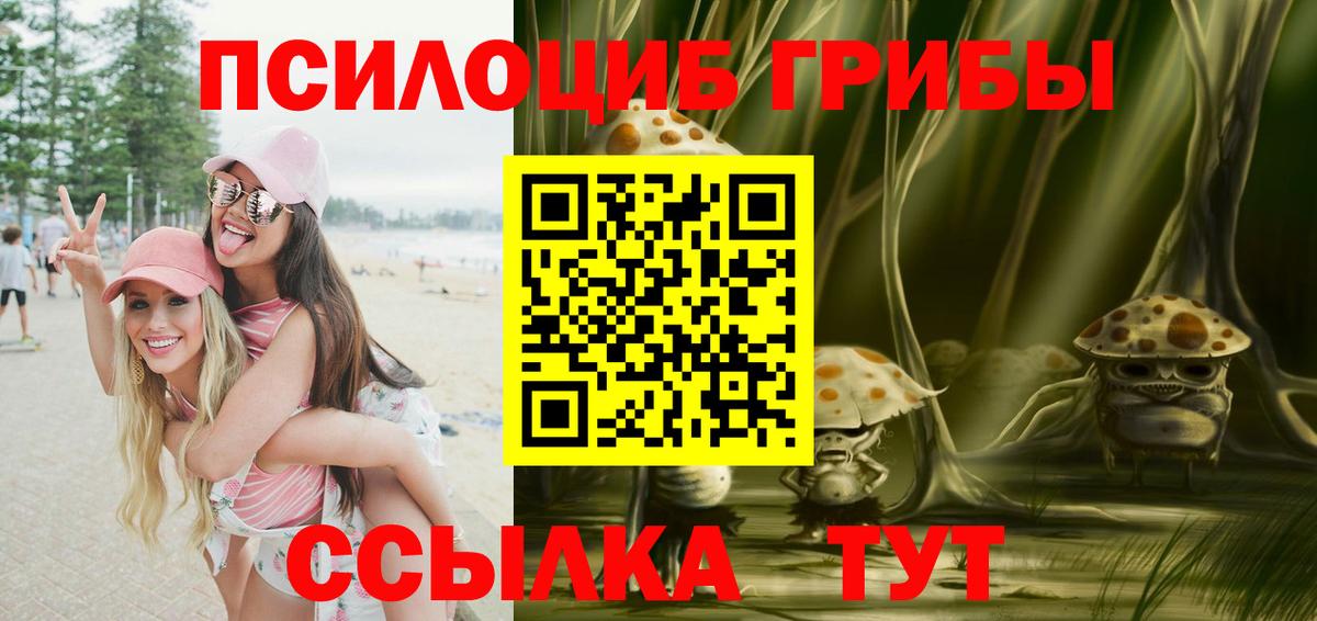 Галлюциногенные грибы Psilocybe Джанкой