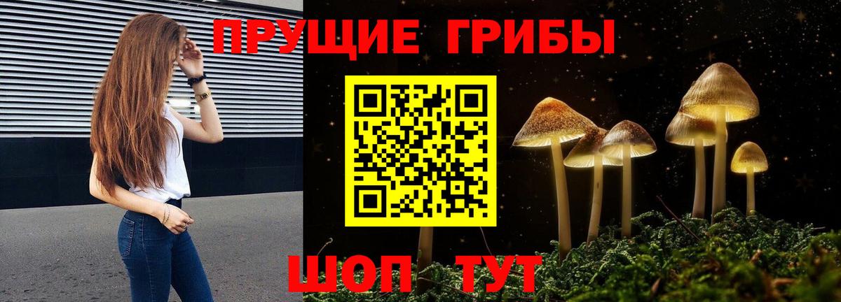 Галлюциногенные грибы GOLDEN TEACHER Джанкой